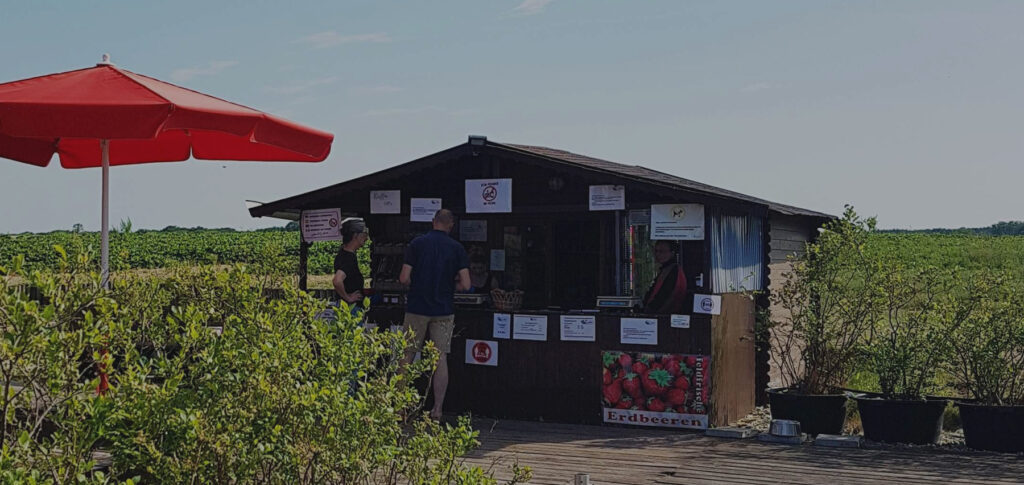 Une kiosque de fraises