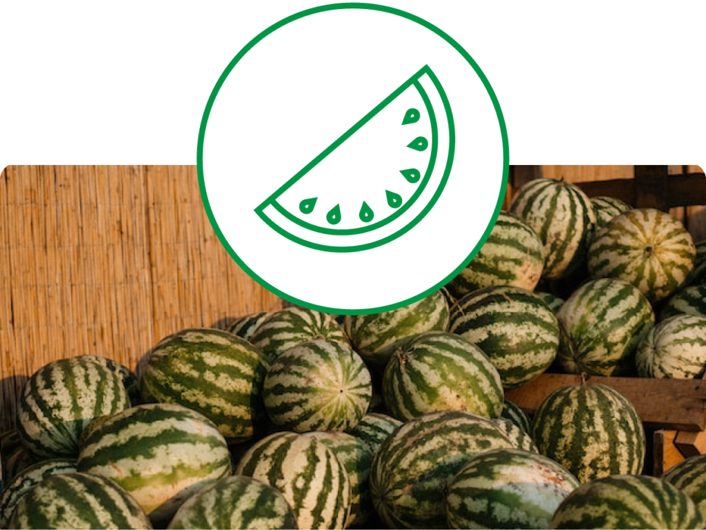 Des melon d'eau